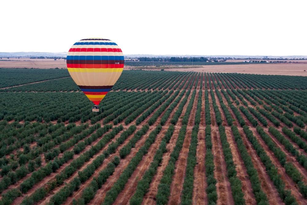 Отель Vila Gale Alentejo Vineyard - Clube De Campo Алберноа Экстерьер фото