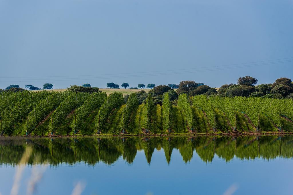 Vila Gale Alentejo Vineyard - Clube De Campo Алберноа Экстерьер фото