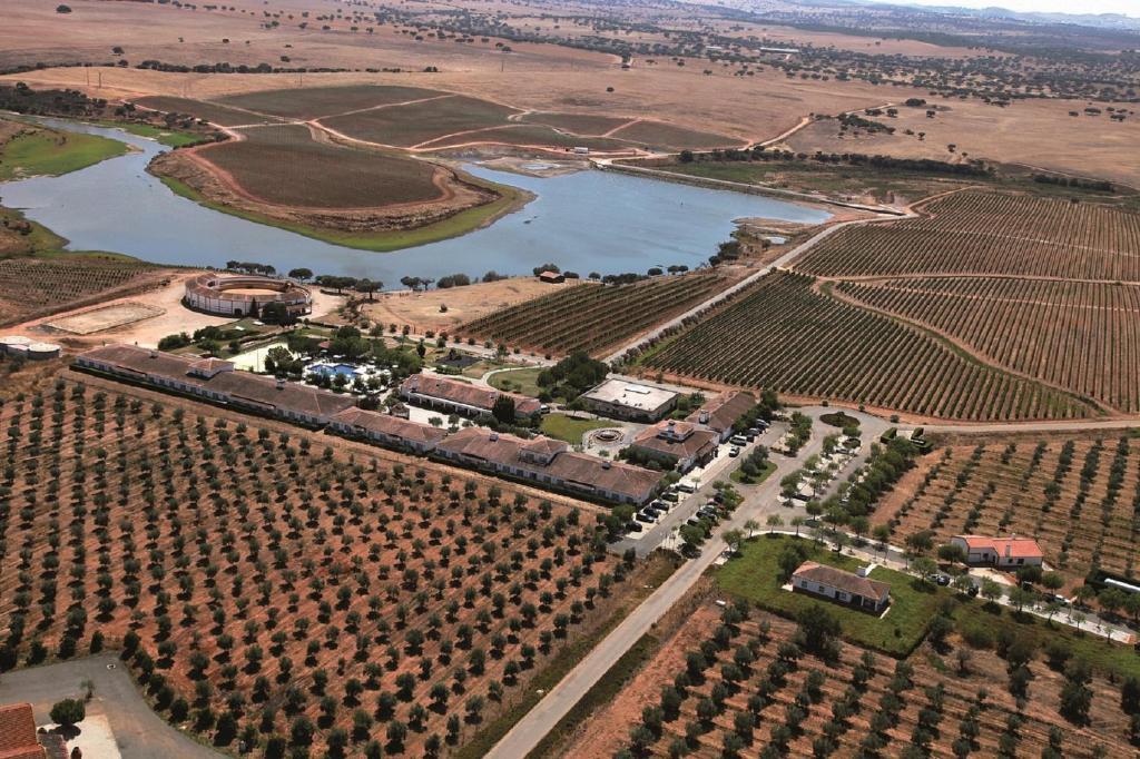 Vila Gale Alentejo Vineyard - Clube De Campo Алберноа Экстерьер фото